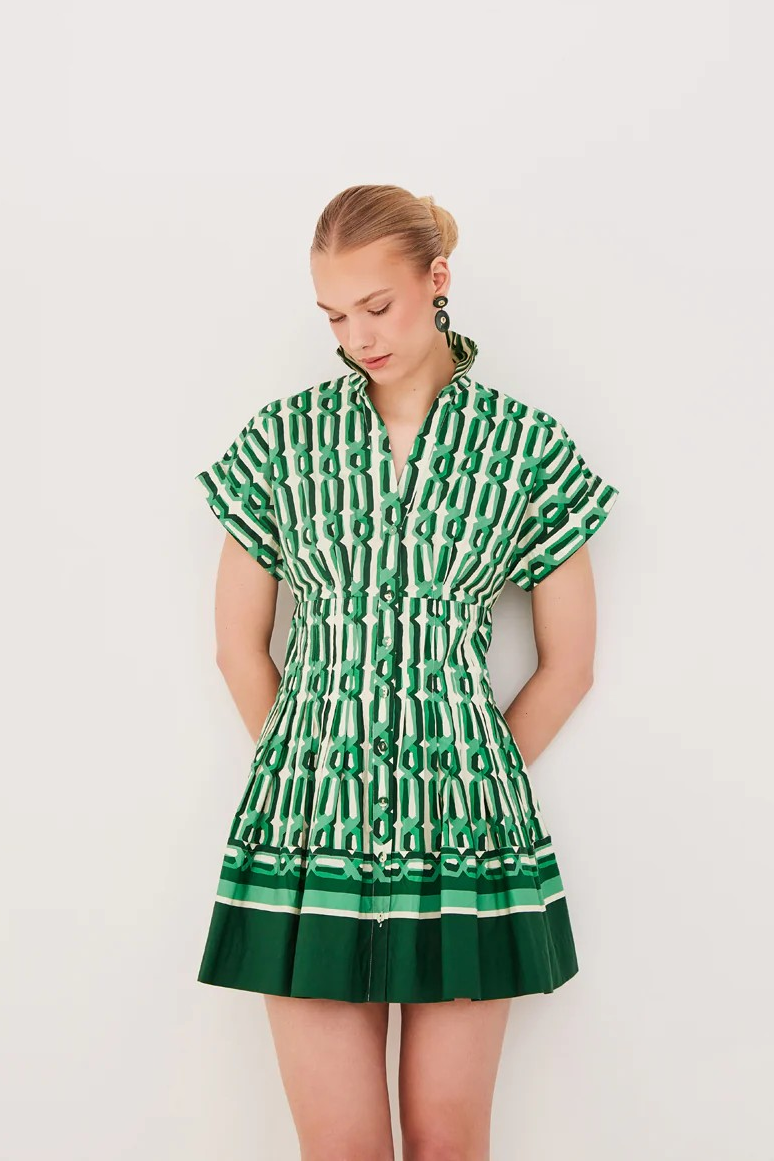 Nash Mini Dress