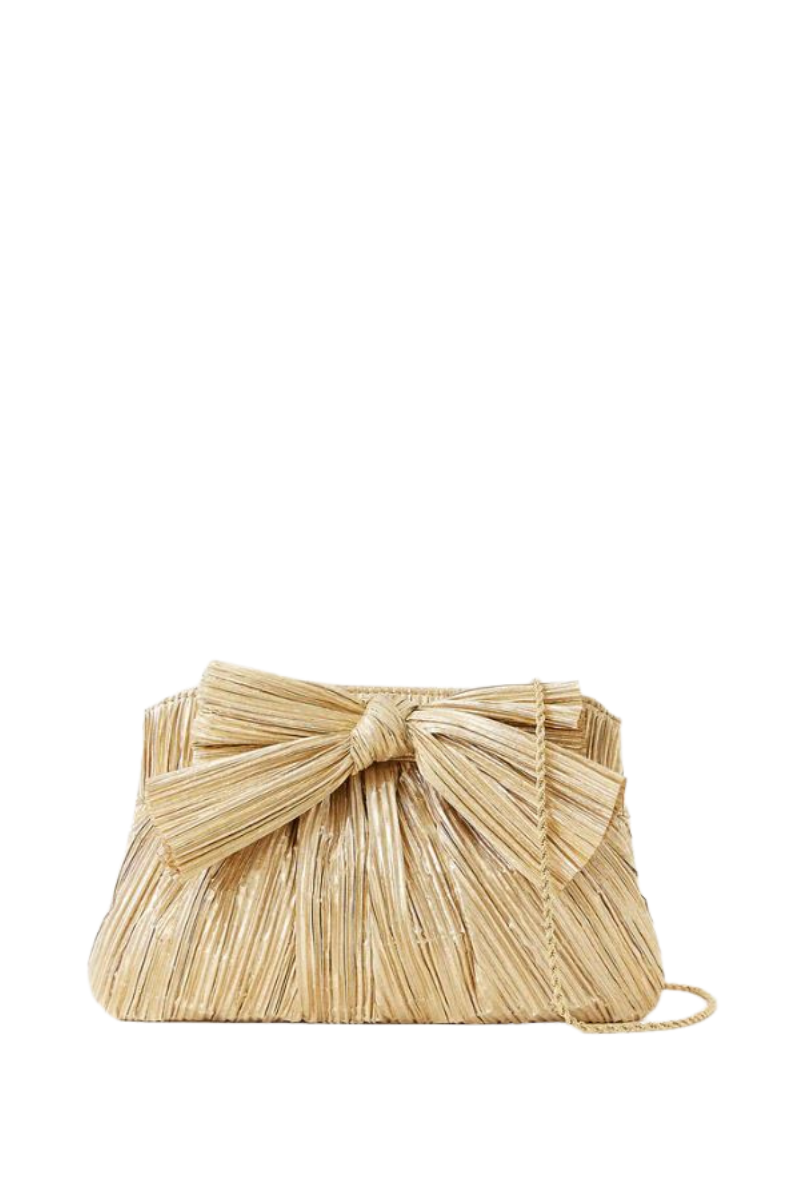 Rayne Pleated Frame Clutch w/Bow