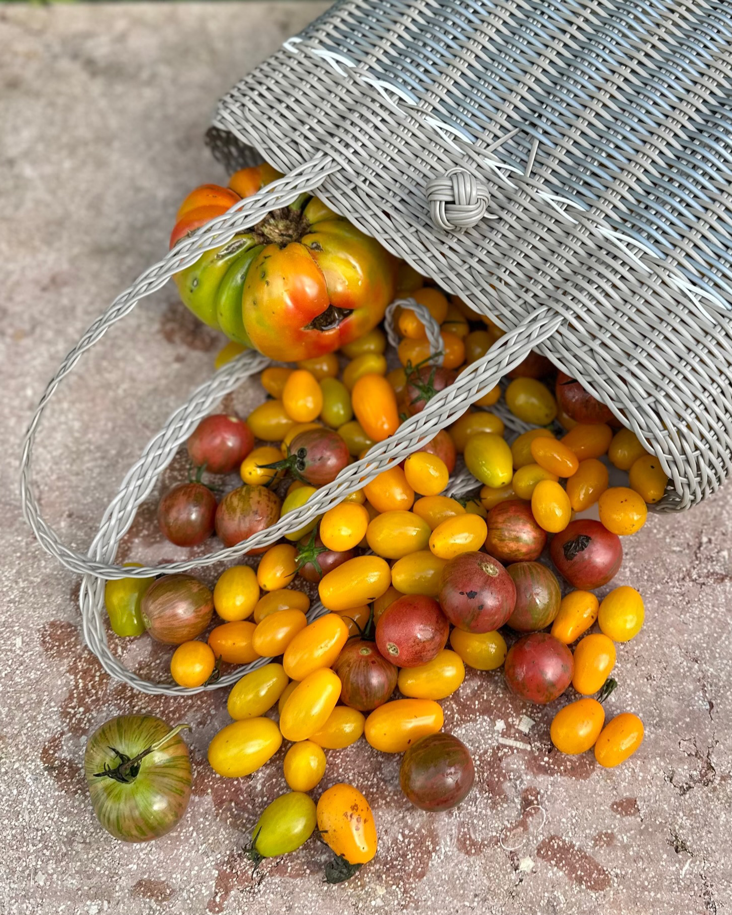 Extra Small,  Guadalupe - Putty + Silver Tote