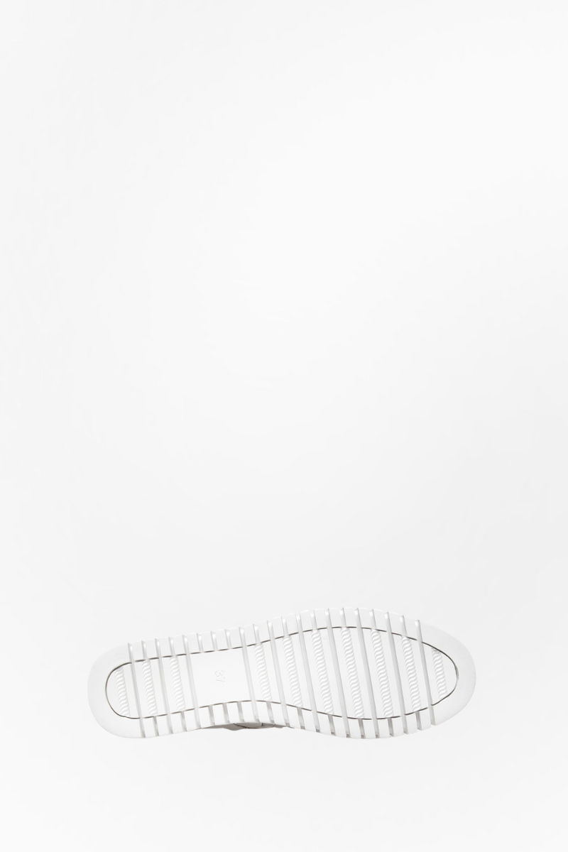 Brodies Sneaker Silver