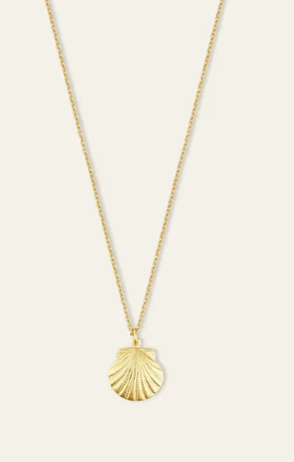 Hart - Dainty Gold Scallop Shell Charm Necklace